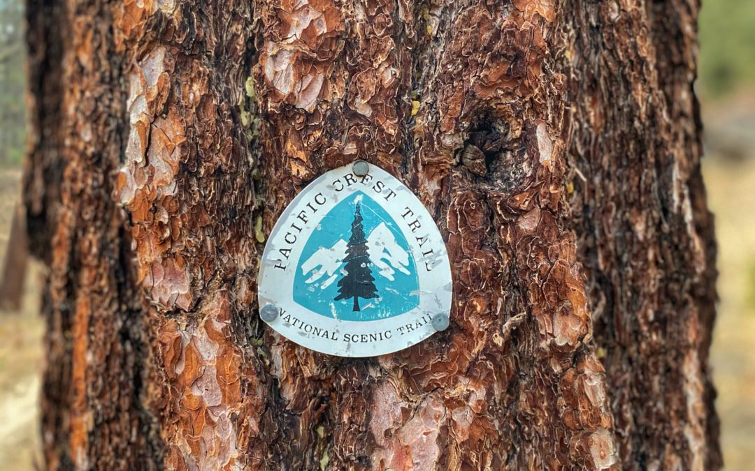 The Pacific Crest Trail – What is it?