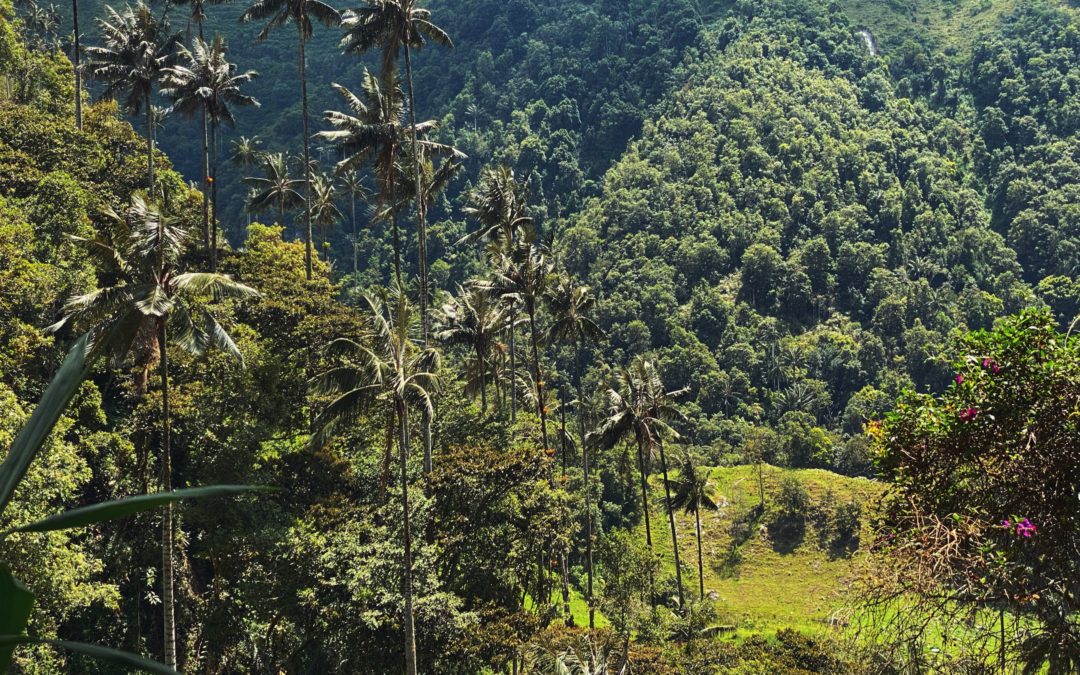 Los Nevado’s National Park