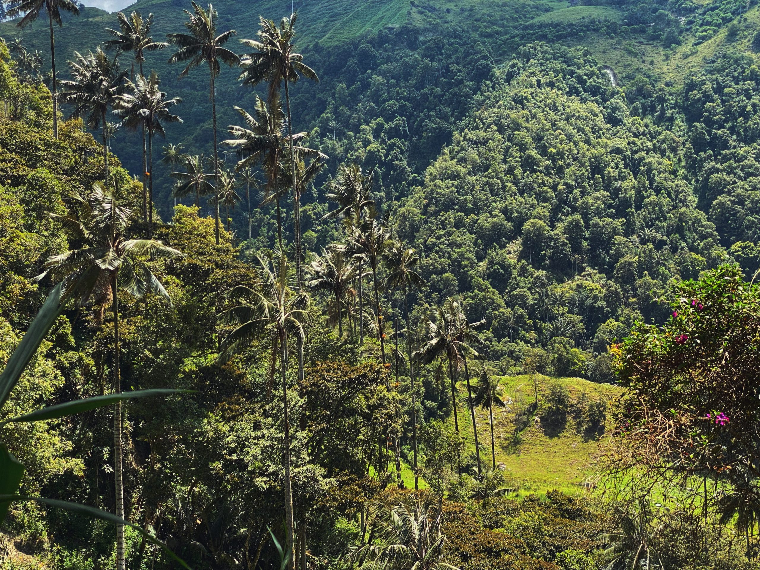 Los Nevado's National Park A Hiker's Journey