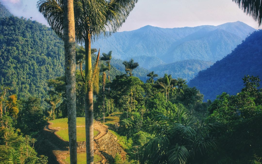 Hiking The Lost City Trek